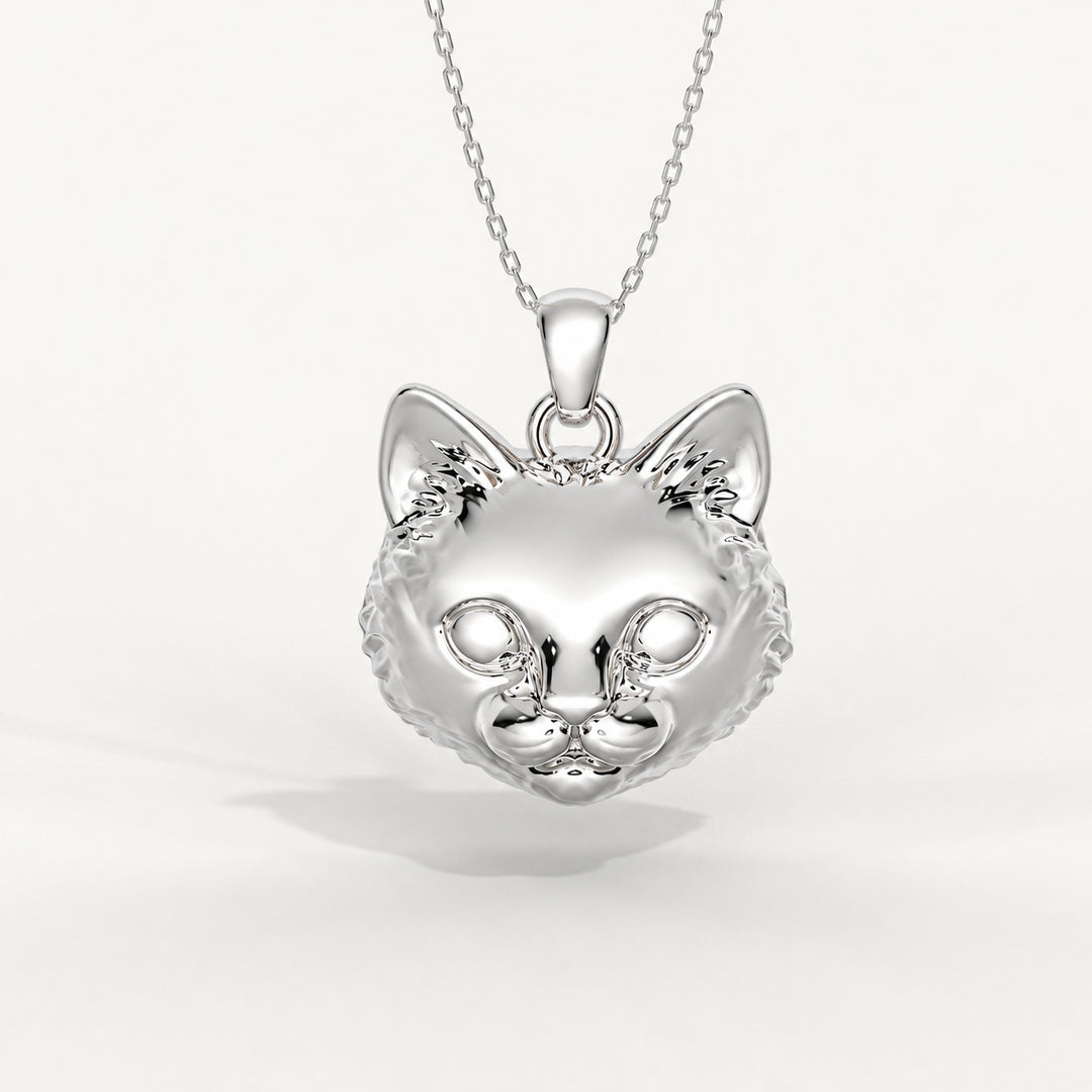 Viso del Gatto