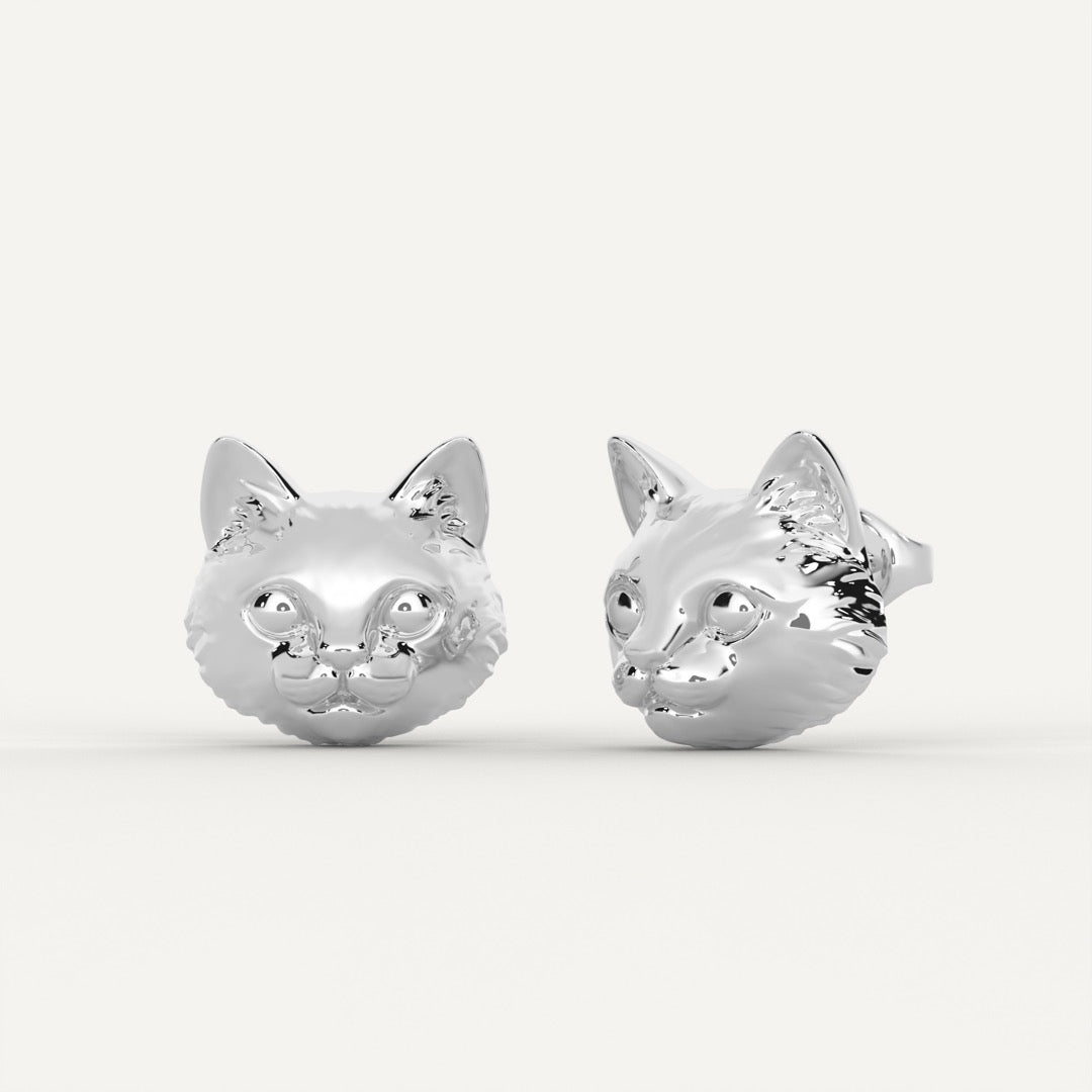 Cat's Face