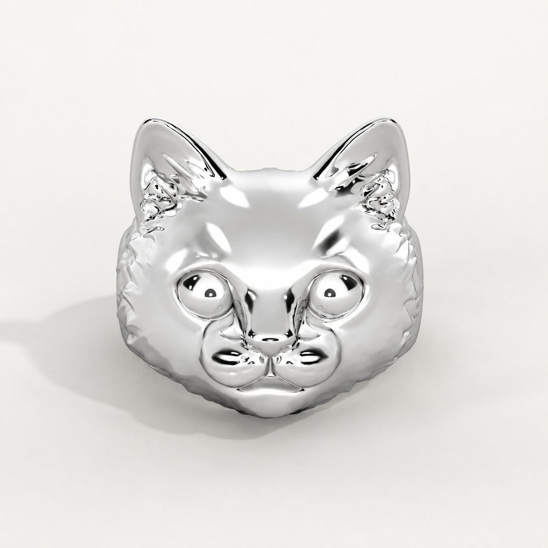 Viso del Gatto