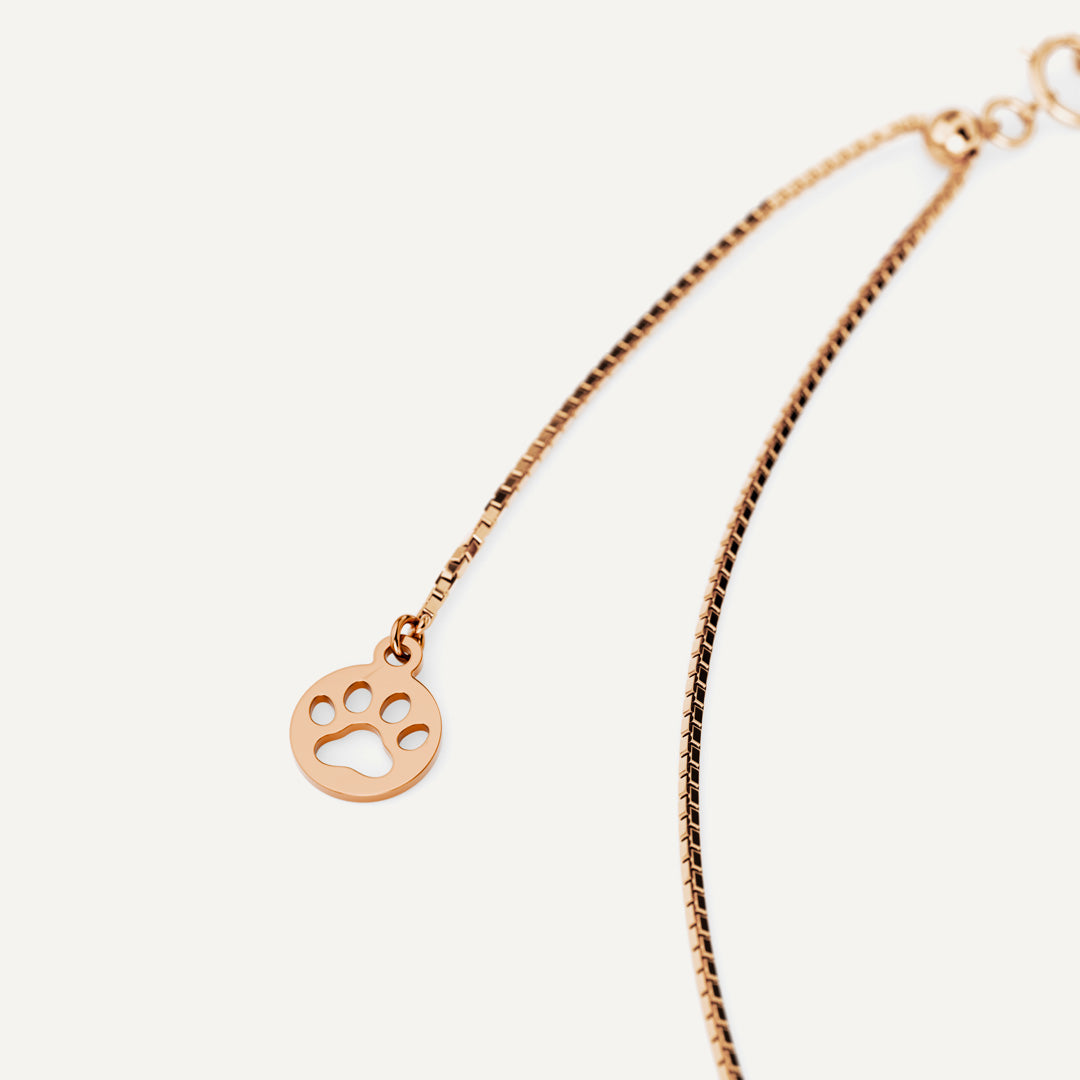 Milanese Chain(gatto)