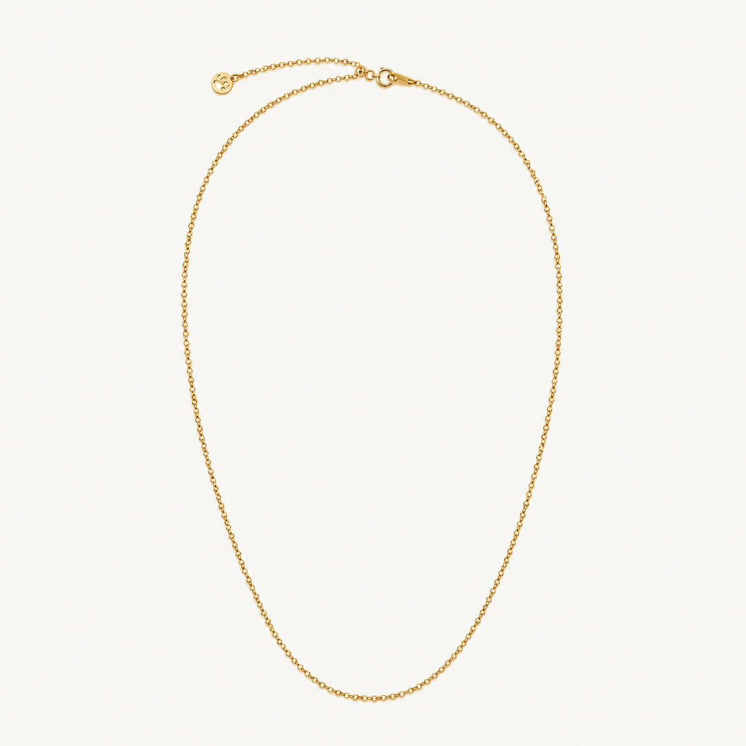 Milanese ring Chain (cat)