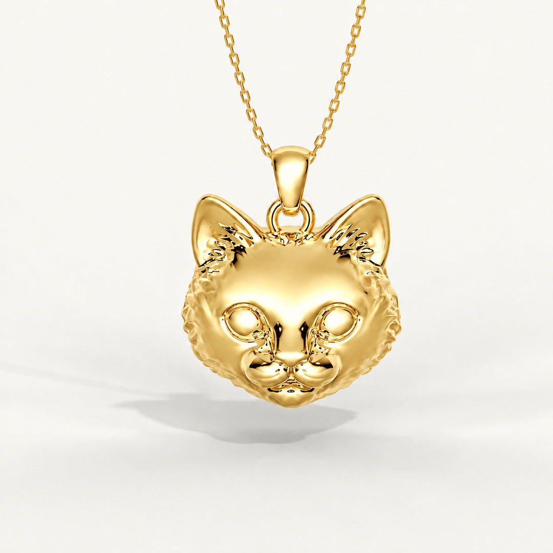 Viso del Gatto