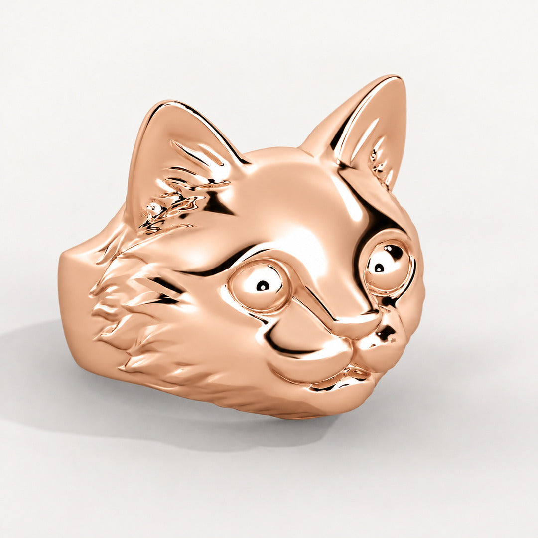 Viso del Gatto