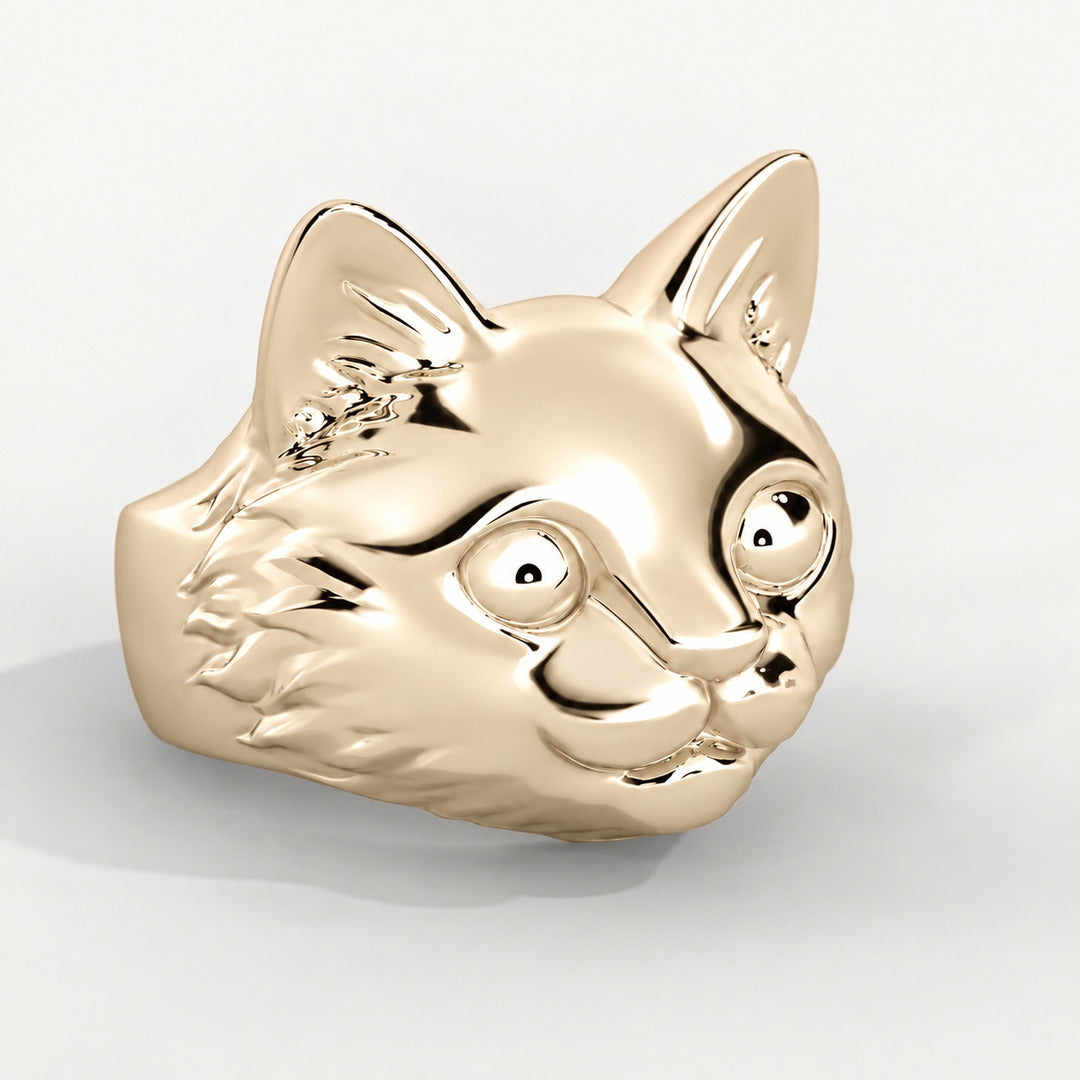 Viso del Gatto