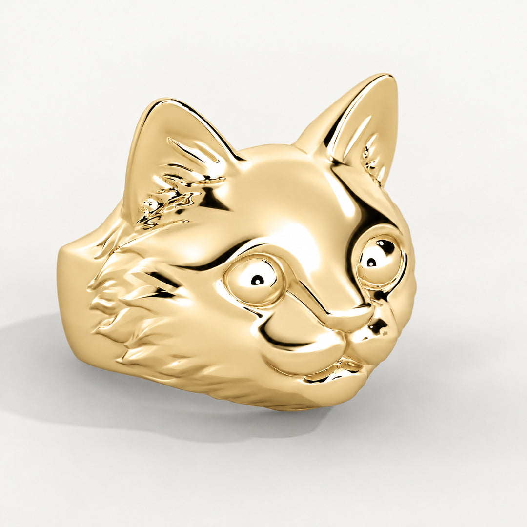 Viso del Gatto