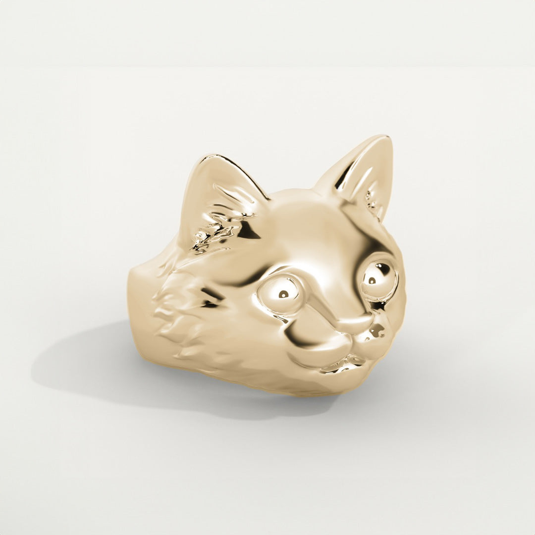 ファッションリングと猫｜Viso del Gatto
