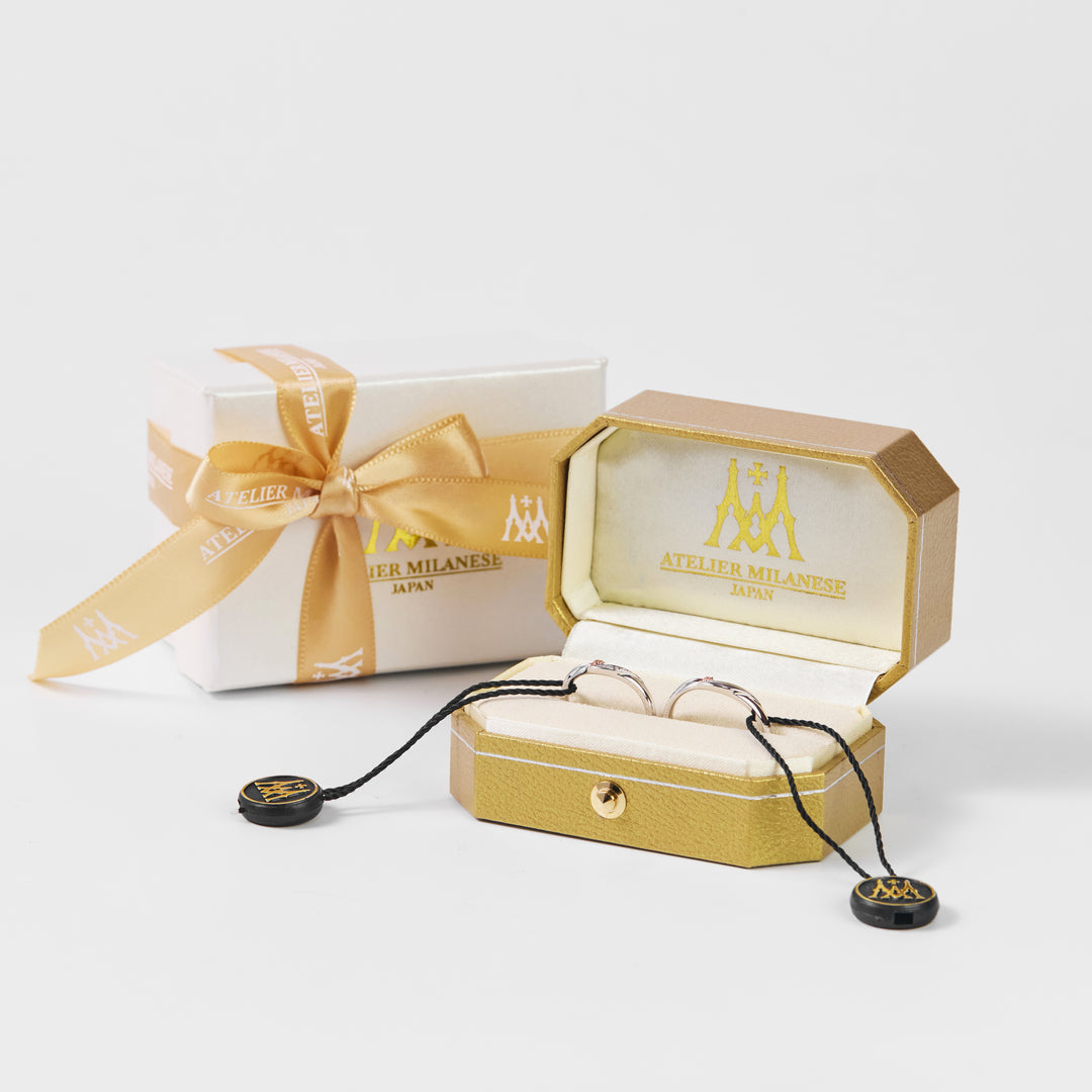 Sentimento del Gatto/man